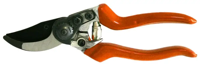 Akció Strend Pro PS725 metszőolló, 21cm