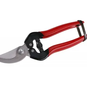 Utolsó esély Festa szűretelő olló, hajlitott, 18cm