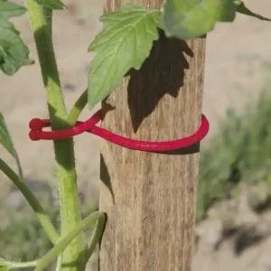 Nortene Tomatoclip növénykapocs, piros, 6.2cm, 25db Gyors szállítás