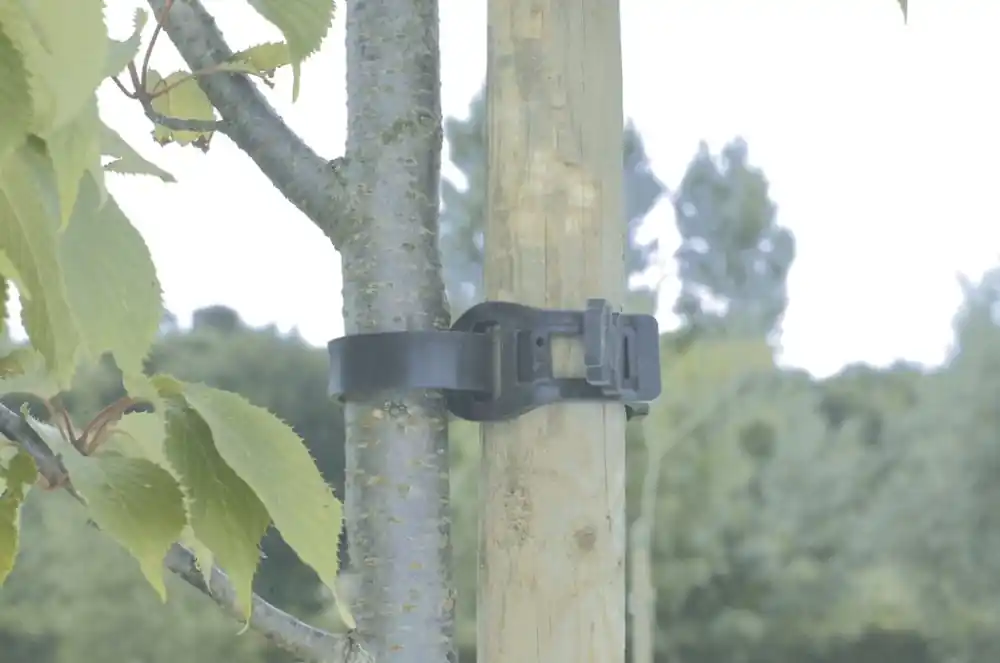 Pénzvisszafizetés Nortene Tree Tie fatörzskötöző, 36cm