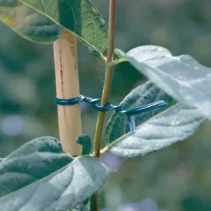 Nortene Ap-Fix erősített műanyag kötöző, zöld, 25m Ajánlat