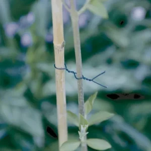 Nortene Fp-Fix műanyaggal bevont drót, zöld, 25m Legjobb ár