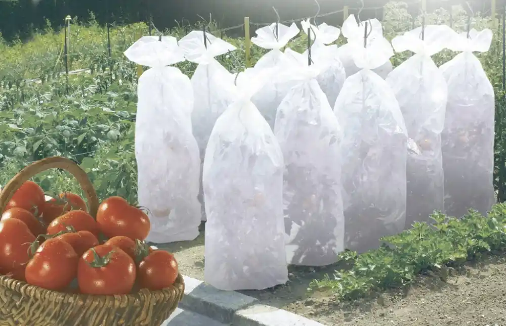 Kiárusítás Nortene Tomatex PP takaró szövet, fehér, 38cm, 0.6x10m