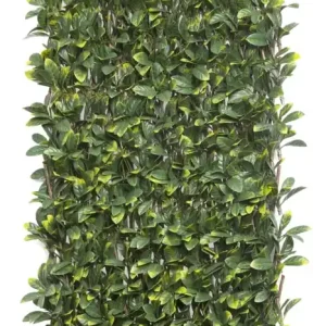 Legjobb ár Nortene Willgreen fűzfa apácarács díszlevelekkel, 1x2m