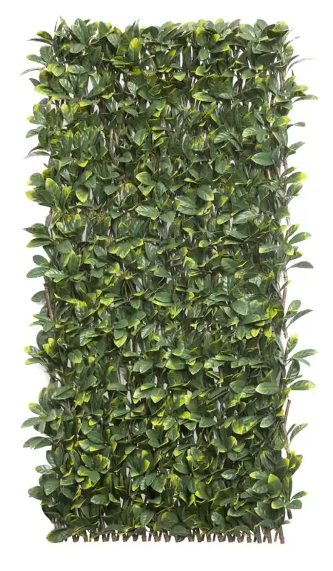 Legjobb ár Nortene Willgreen fűzfa apácarács díszlevelekkel, 1x2m