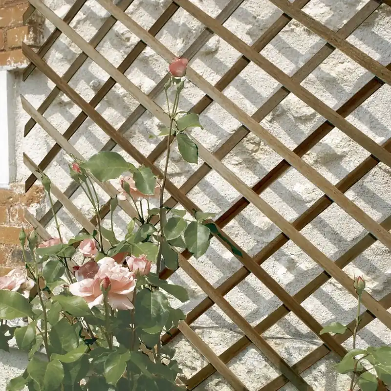 Pénzvisszafizetés Nortene Trelliwood fa apácarács, barna, 23x7mm, 1x3m