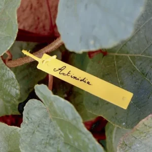 Nortene Tree Label függő címke, sárga, 9.5x1.5cm Gyors szállítás