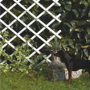 Prémium Nortene Trelliflex műanyag apácarács, fehér, 0.5x1.5m