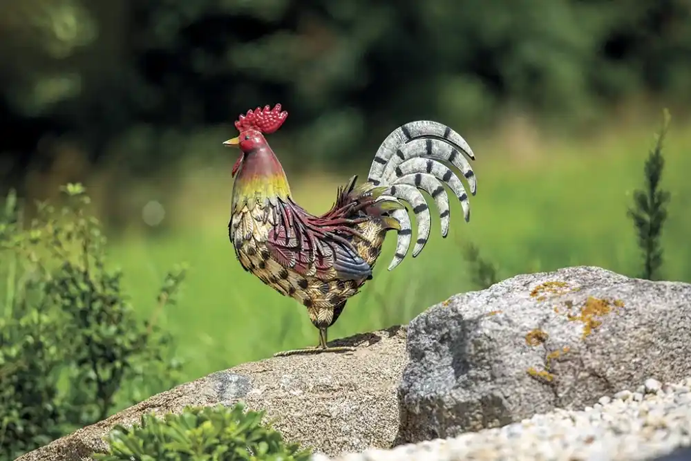 Kedvezmény Nortene Harry dekoratív kakas, 34x13x35cm