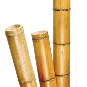 Nature Bambusz növénytámasz, 40-55mm, 270cm Ingyenes szállítás