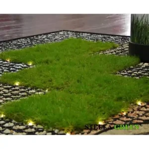 Ajánlat Műanyag, fekete gyeprács, 50x50x4cm