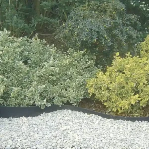 Nortene Selfix Bordura újrahasznosított gumi ágyásszegély, 1000x3.8x13cm Akció