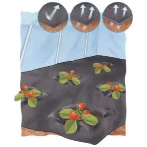 Pénzvisszafizetés Eperfólia előperforált, fekete, 1.2x10m