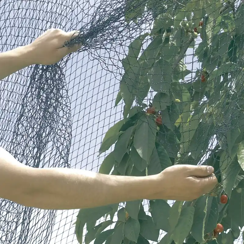 Pénzvisszafizetés Nortene Pronet PE szőtt madárháló, zöld, 20x20mm, 5x12m