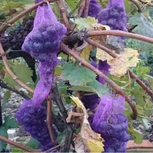 Újdonság Nortene darázs elleni védőháló, 50db