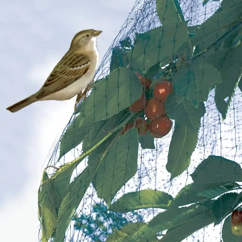 Prémium Nortene Easynet PP madárháló, fekete, 17x17mm, 2x10m