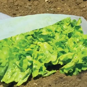 Csak ma Nortene Climatic 17 fátyolfólia, 17g/m2, 1.6x5m