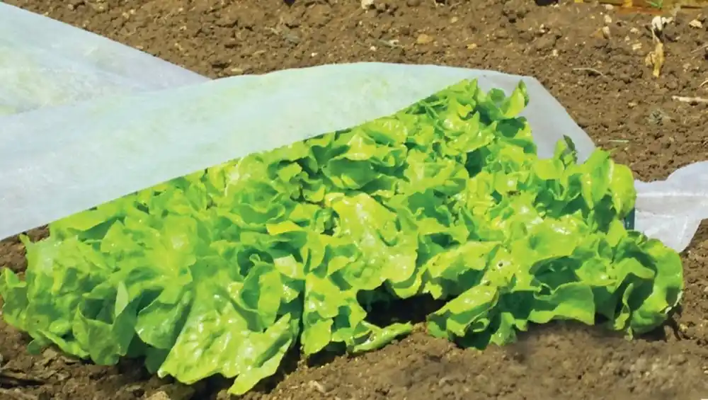 Csak ma Nortene Climatic 17 fátyolfólia, 17g/m2, 1.6x5m