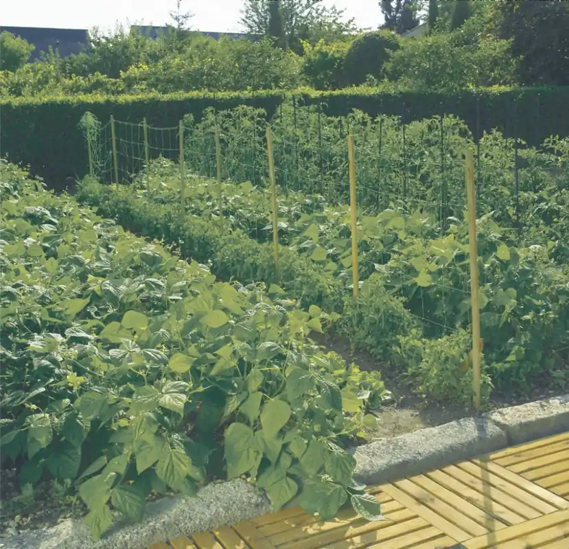 Olcsó Nortene Trellinet PP uborkaháló, zöld, 150x170mm, 1.7x5m