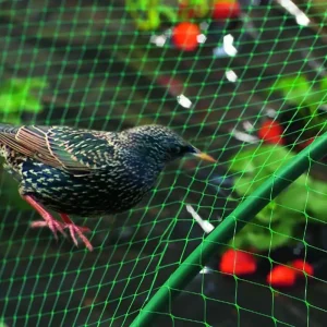 Alacsony ár Nortene Birdnet HDPE extrudált madárháló, rombusz, zöld, 2x10m