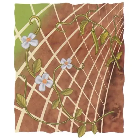 Biztonságos fizetés Növénytartó háló 2x10m