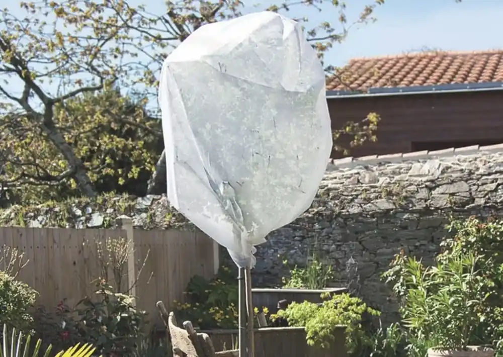 Kedvezmény Nortene Wintertex PP átteleltető növénytakaró, fehér, 50g/m2, 1.6x10m